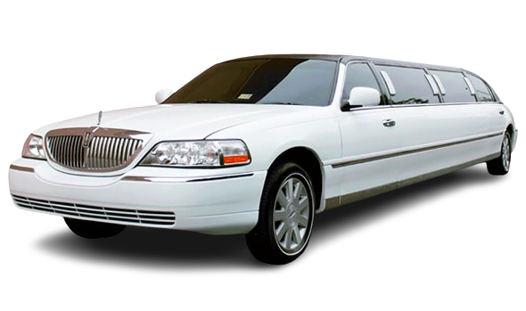 Northampton White lincoln